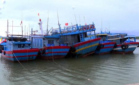 Quảng Nam: Chủ động ứng phó với mưa lớn và thời tiết nguy hiểm trên biển